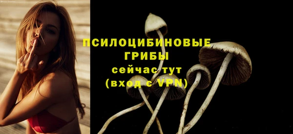эйфоретик Алзамай