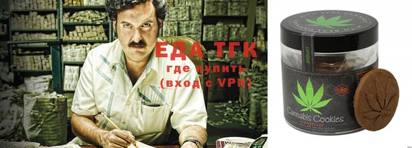 эйфоретик Алзамай