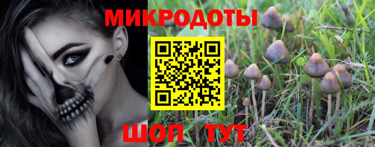 Галлюциногенные грибы GOLDEN TEACHER Первоуральск